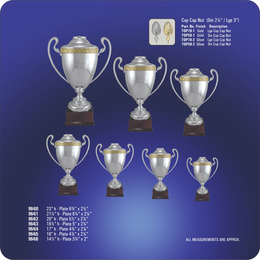 #M964 - Silver Triumph Cup Trophies