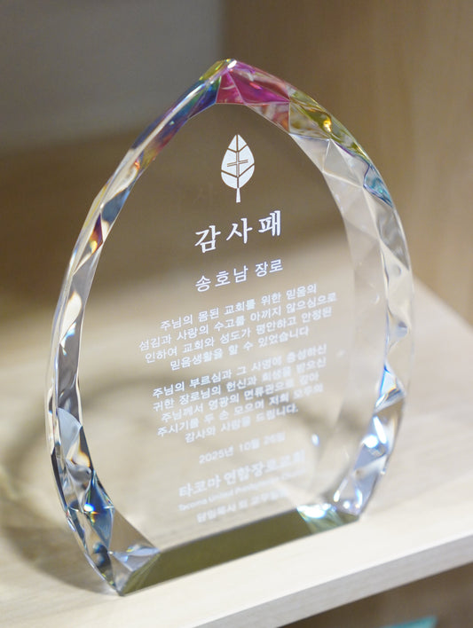 #JK9194 - Prismatic Jewel Crystal Flame