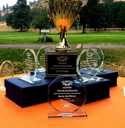 #JCGS13 - 7.5" Octagon Clear Glass Award