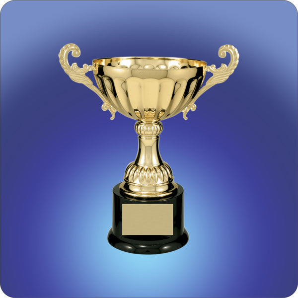 Coupe Du Trophée Dor Sur Fond Transparent Isolé PNG , Récompense Coupe Du Trophée Dor Sur Fond Transparent Isolé PNG , Récompense