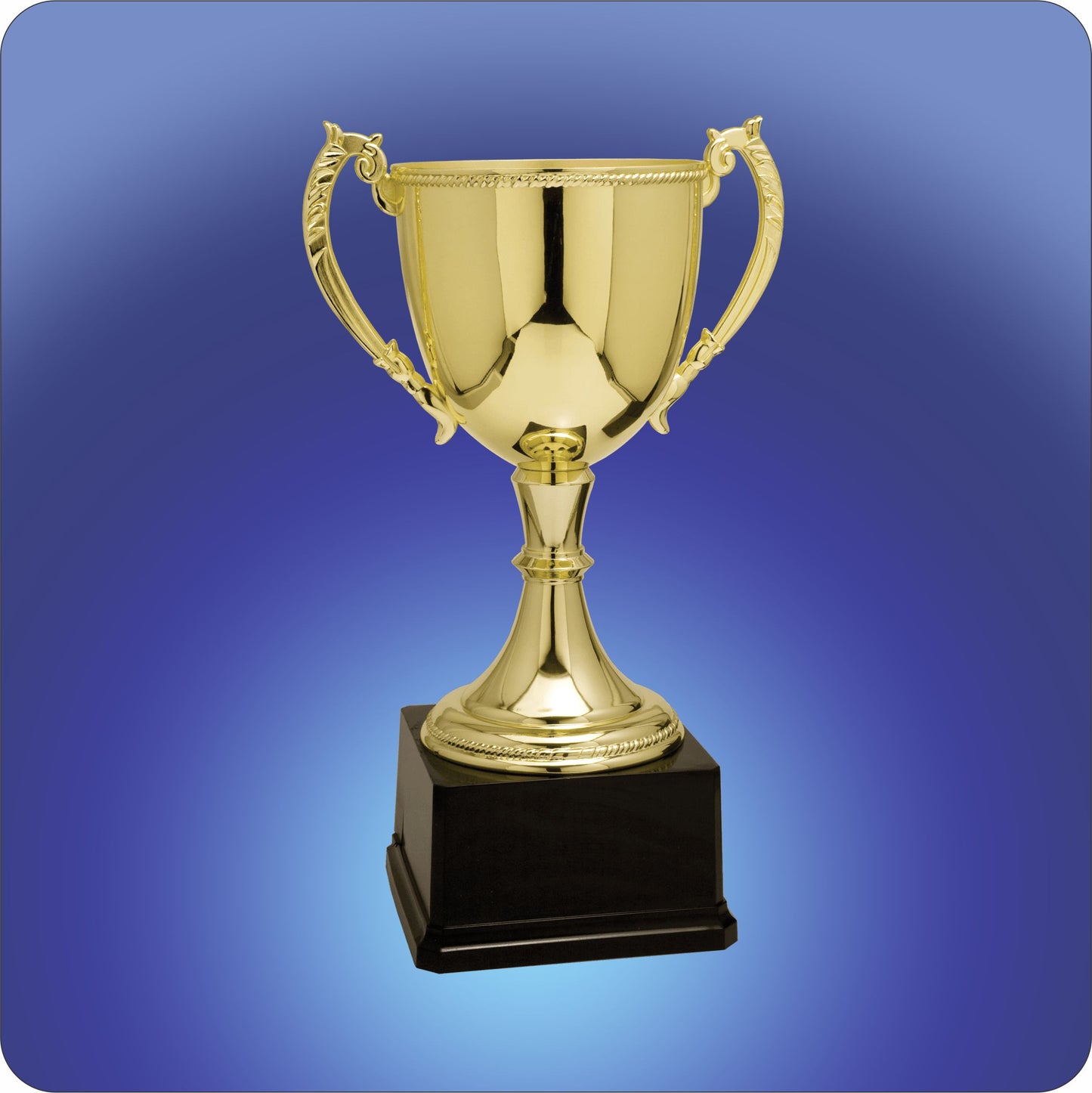 Gold Zinc Cup Trophy Kor. Version