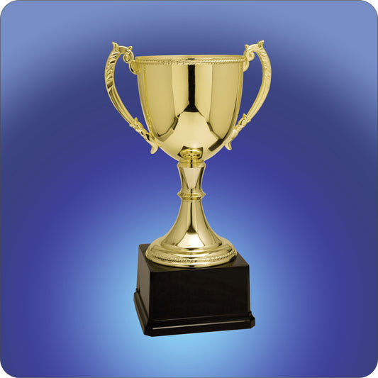 Gold Zinc Cup Trophy