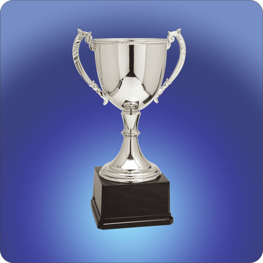 Silver Zinc Cup Trophies